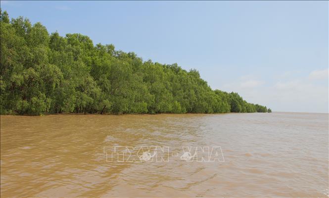 Cần Thơ: Đánh thức tiềm năng 'viên ngọc xanh' nơi hạ lưu sông Hậu - Ảnh 1.
