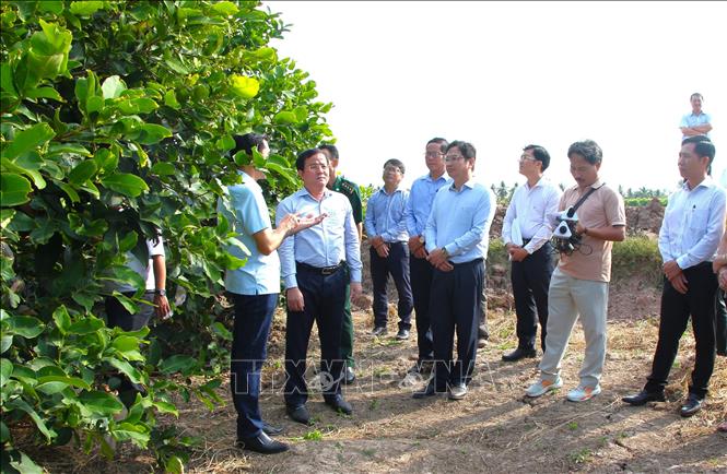 Cần Thơ: Đánh thức tiềm năng 'viên ngọc xanh' nơi hạ lưu sông Hậu - Ảnh 3.
